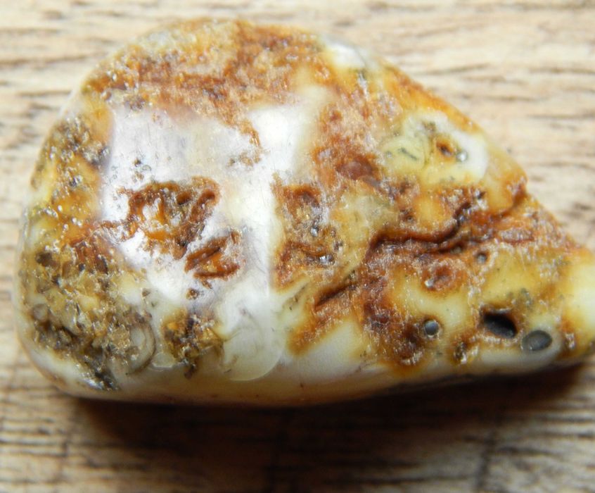 Bursztyn bałtycki, multikolor, ok. 5,01g