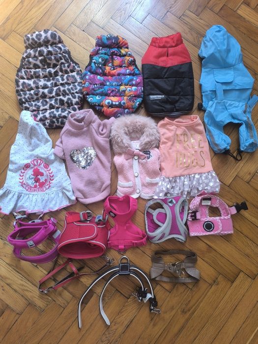 Одежда,переноска, аксессуары xs