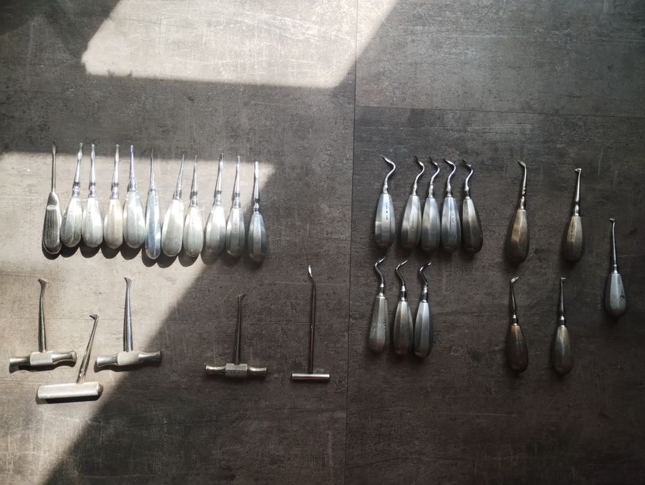 Dźwignie korzeniowe Beina Wintera Lacluesa