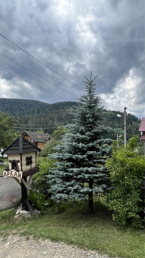 Отдых в Карпатах. Відпочинок в Карпатах  з басейном. Дом в Карпатах