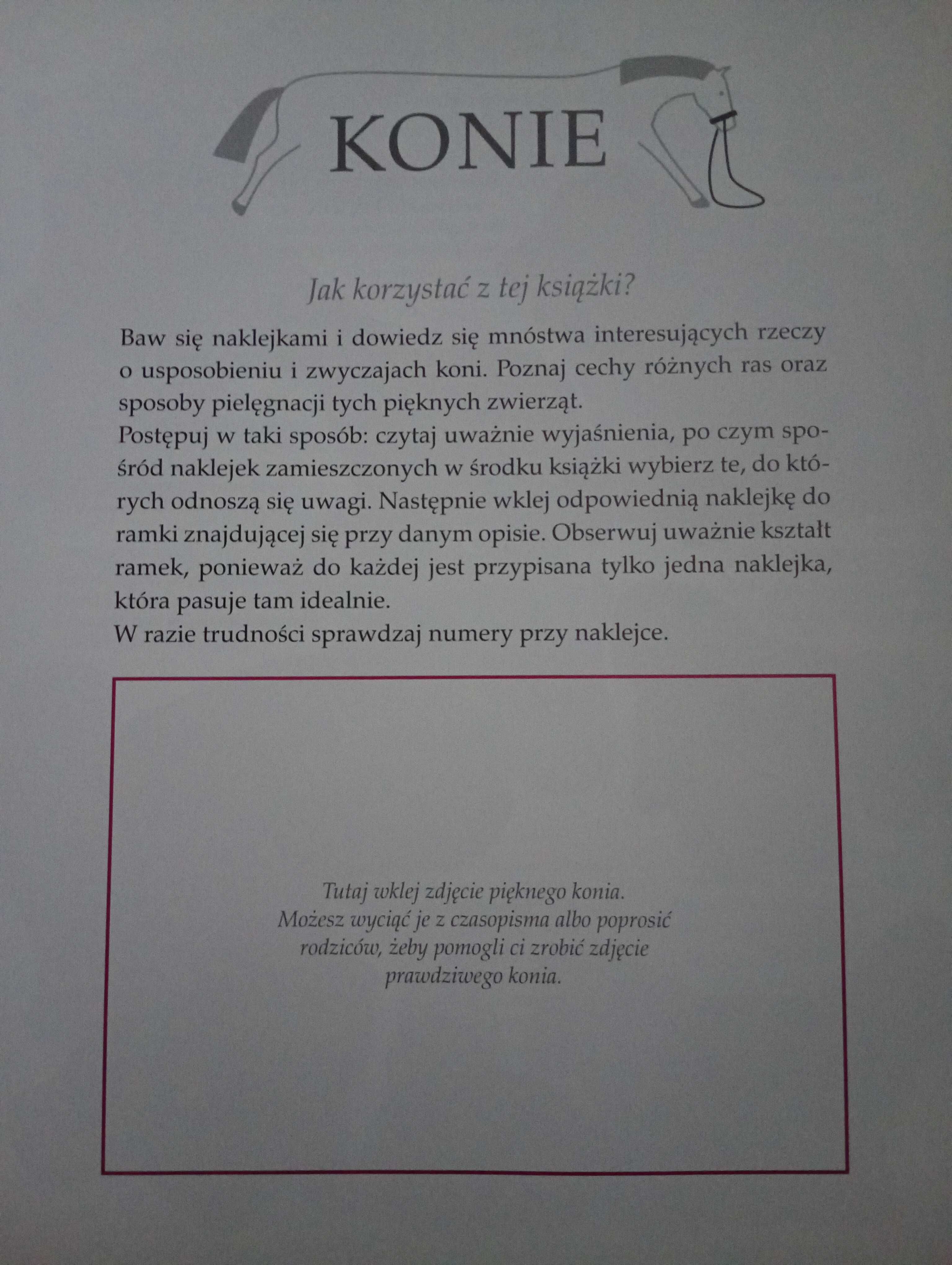 Naklejki konie książka, album