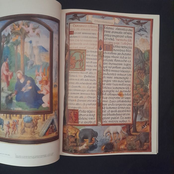 Revista Oceanos - A Luz do Mundo