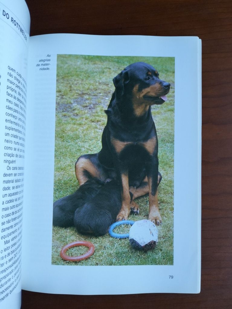 Livro Rottweiler - Coleção Habitat