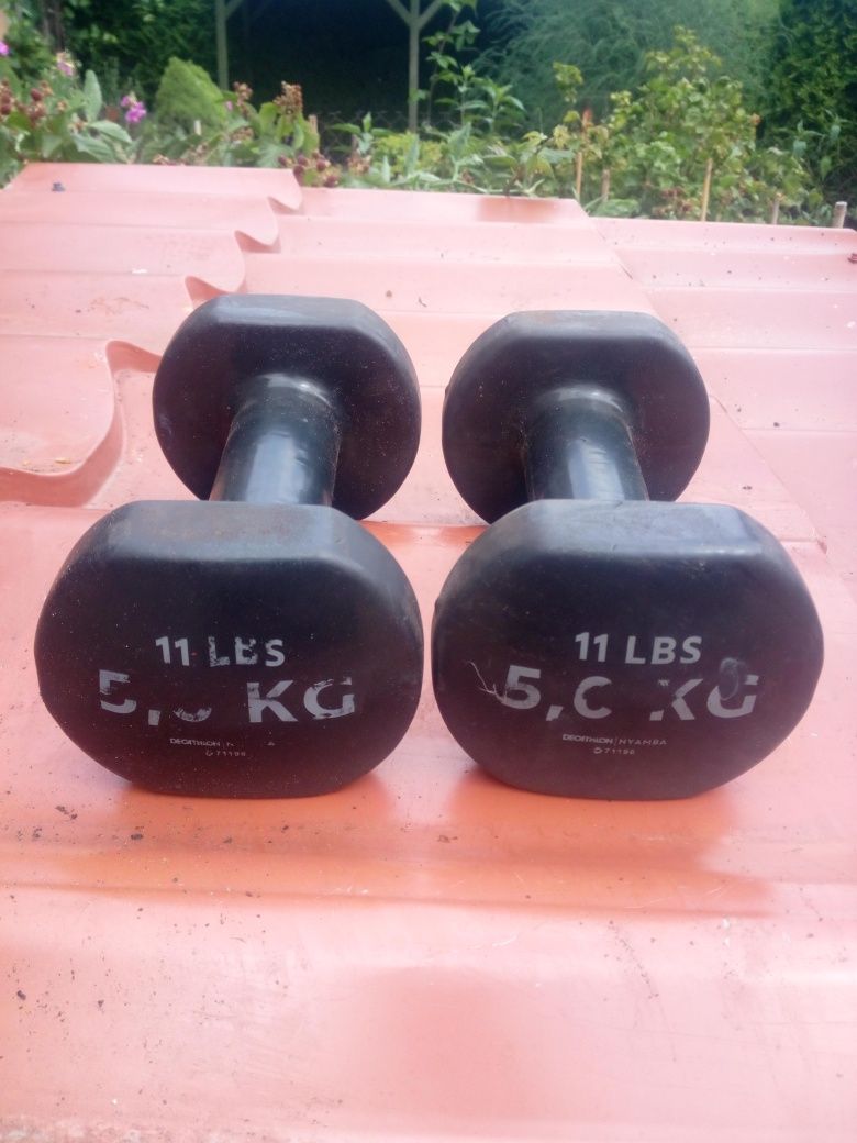 Hantle 5kg Dwie sztuki Decathlon Okazja Warto !!!