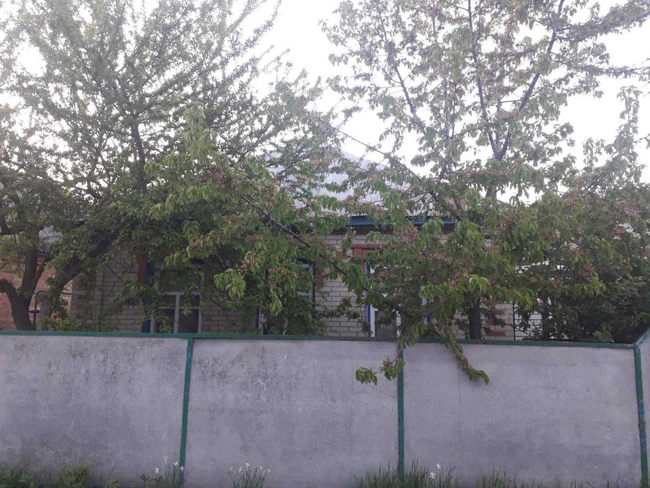 Продається будинок в селищі Миколаївка (Жовтневе) Сумського району