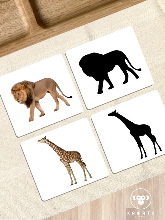 [21] Cartões | Sombras | Montessori | Selva