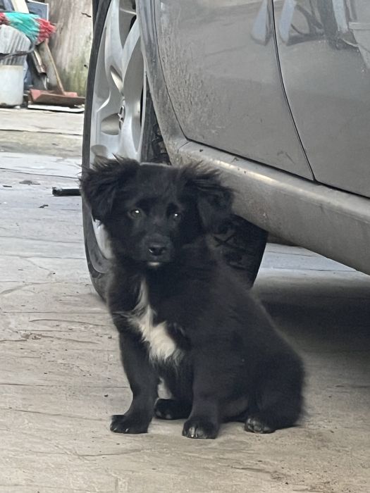 Дівчинка 3 місяці