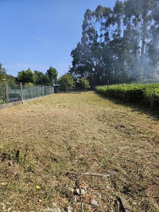 Limpeza de terrenos com Roçadora