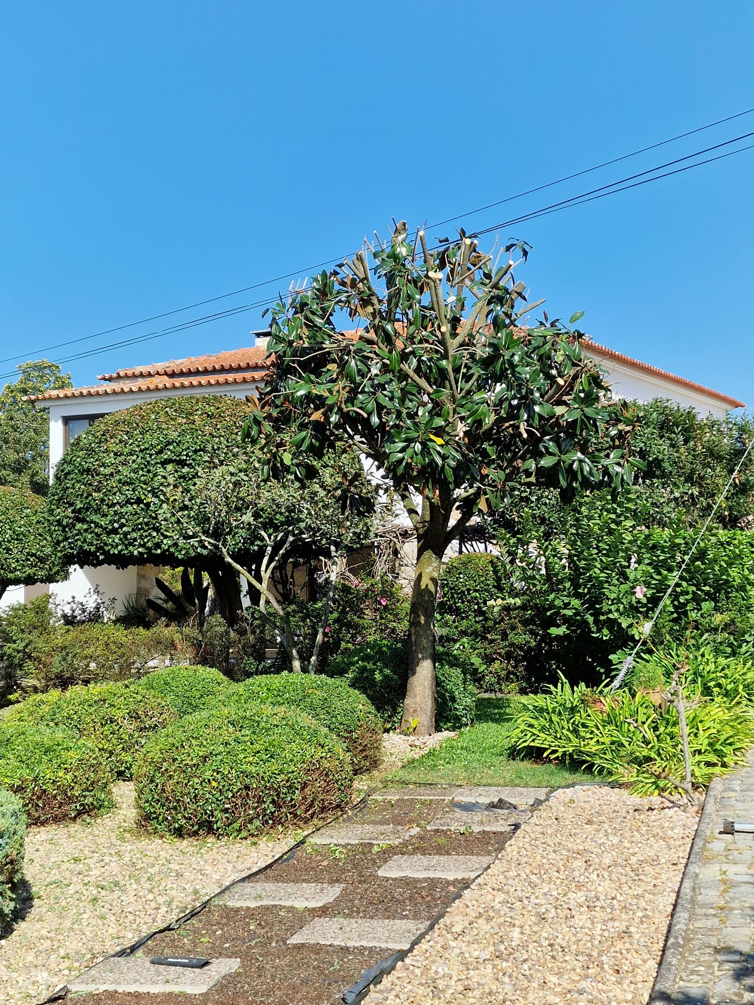 Manutenção/construção espaços verdes zona grande Porto e arredores