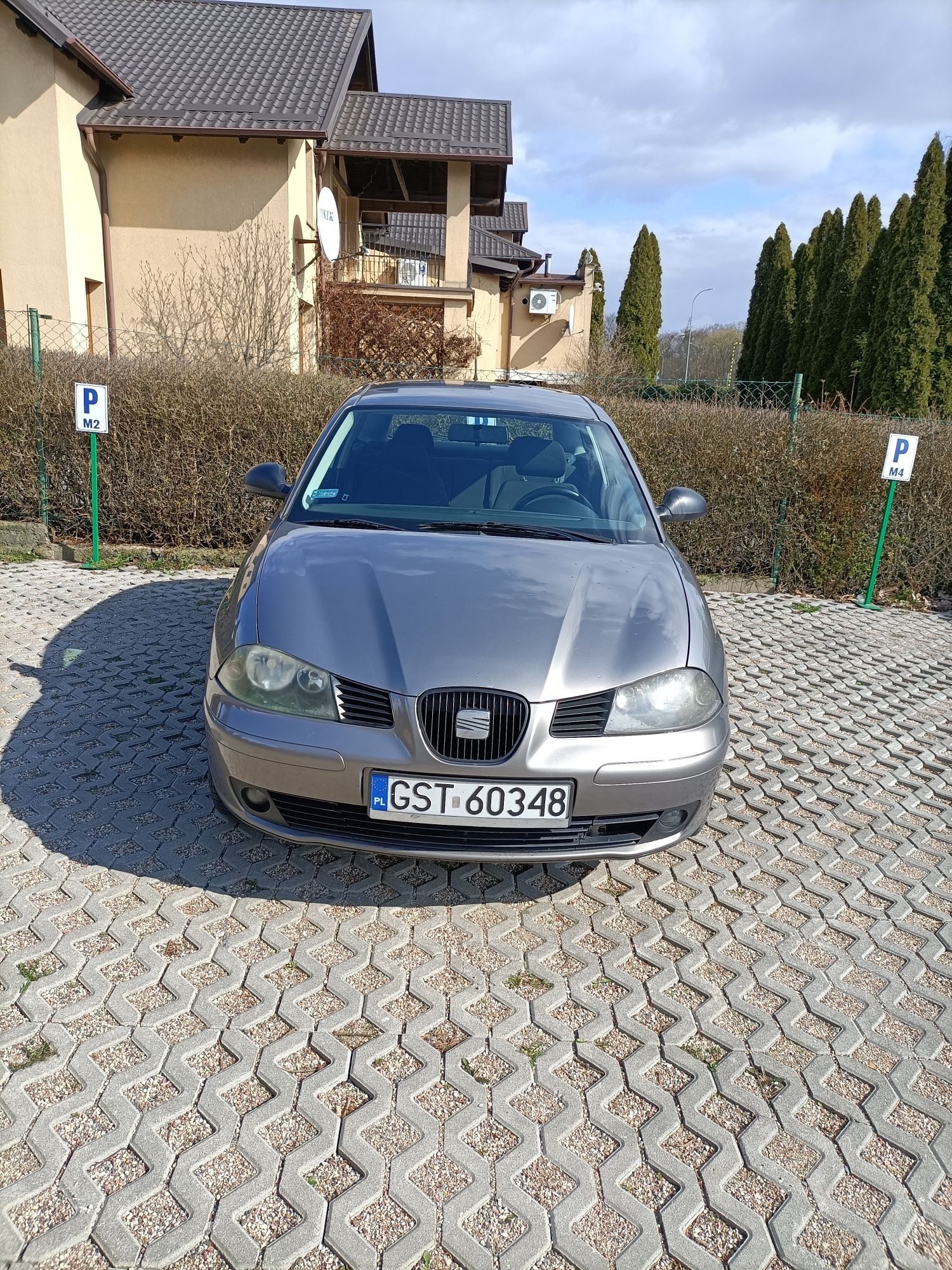 Seat Ibiza 2002r