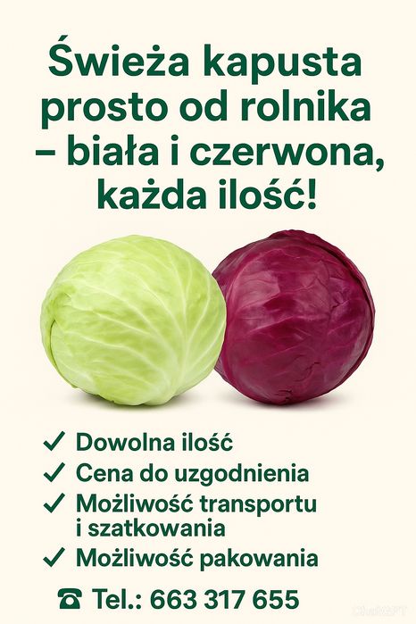 Kapusta biała,czerwona oraz szatkowana