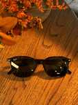 Сонцезахисні окуляри Ray-Ban Leonard RB2193 902/31