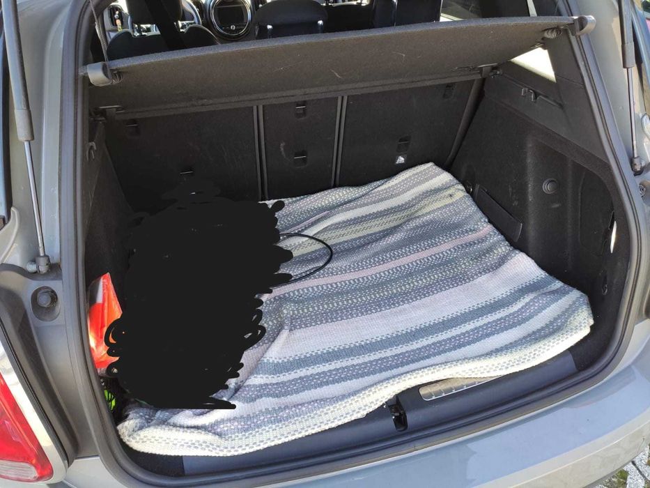 Mini Contryman One D