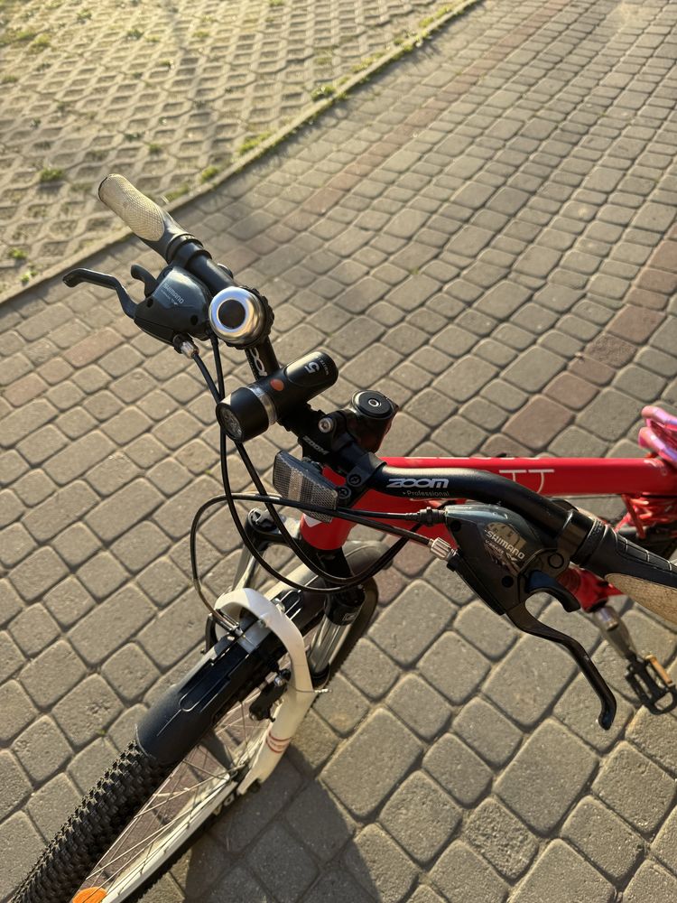 Scoot contessa 650