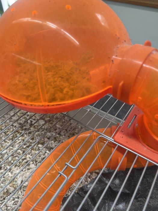 Gaiola para amsteres