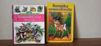 2 książki dla dzieci przyrodnicza i bajki