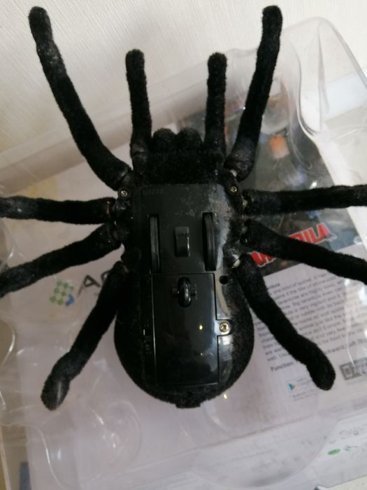Продам паучка Tarantula