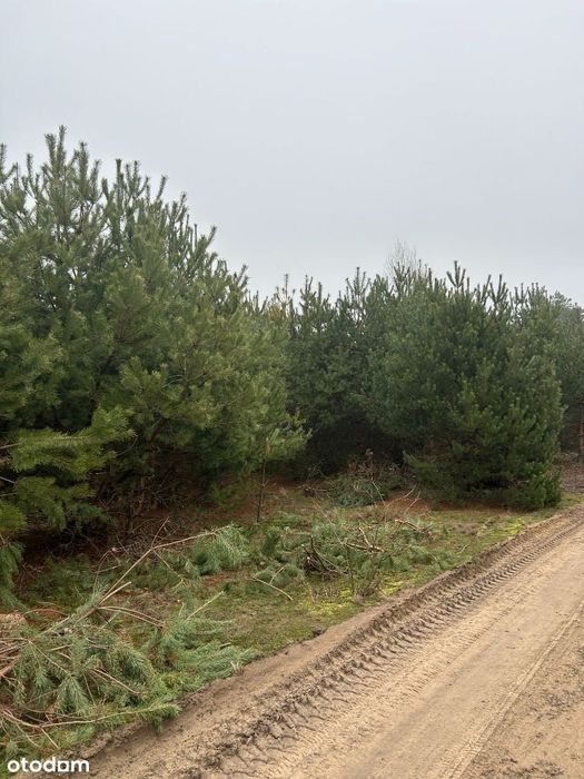 Działki budowlane 2x 1000m2 Krawcowizna Strachówka