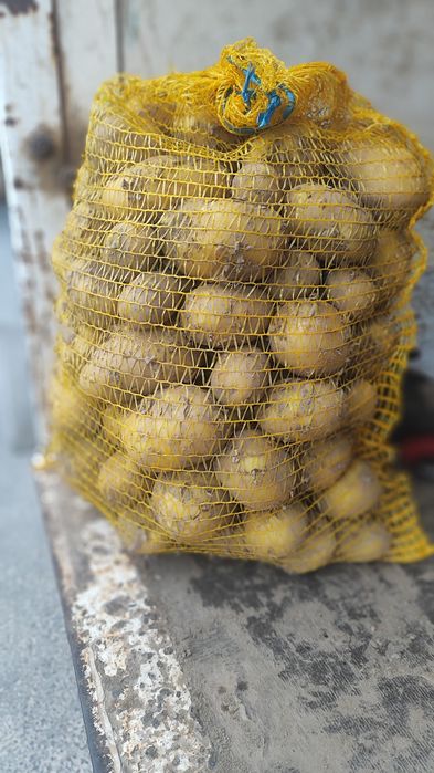 Sprzedam ziemniaki Soraya, Queen Anna