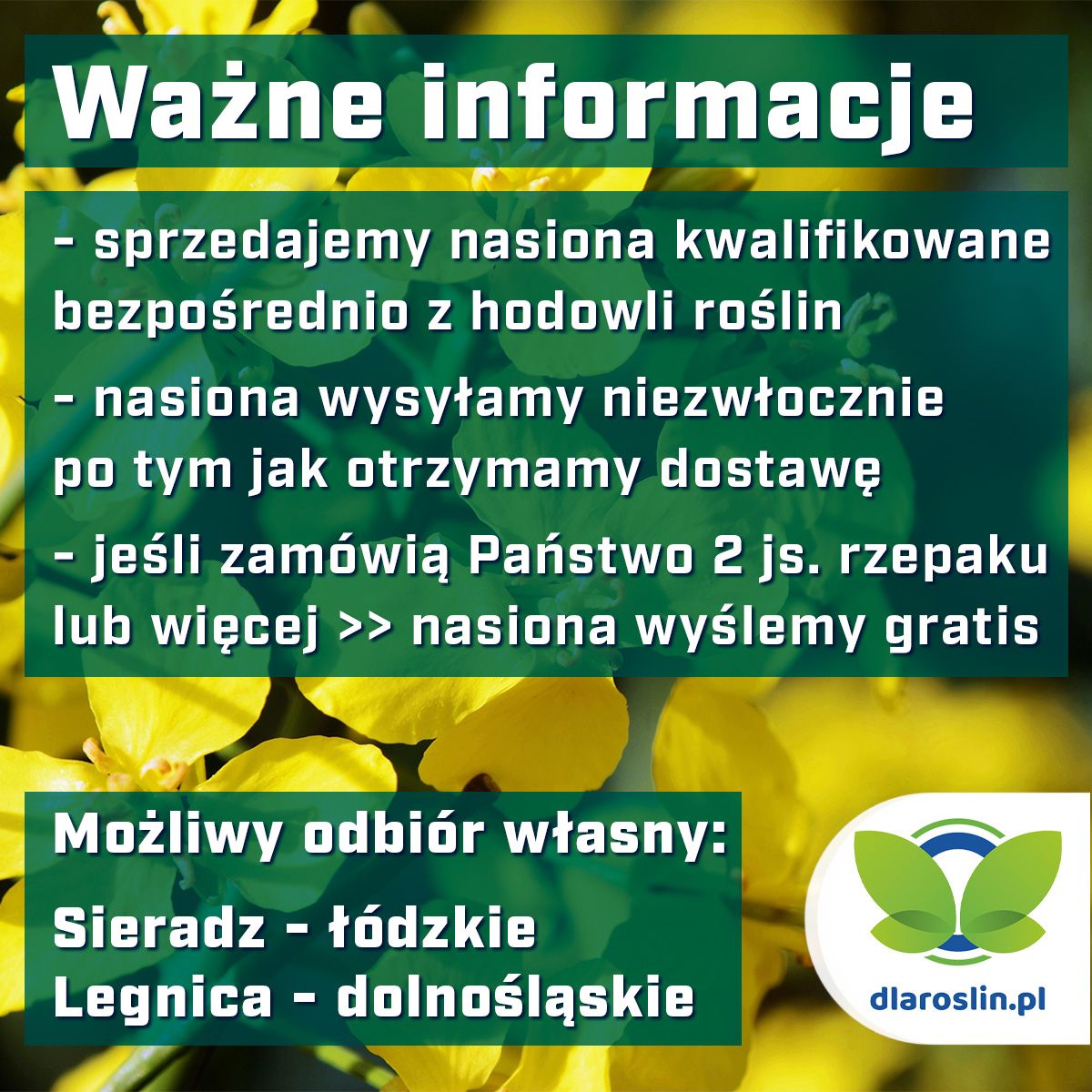 Rzepak ozimy Jurek F1, C1, opak. 1,5 mln.n. Integral Pro i Lumiposa