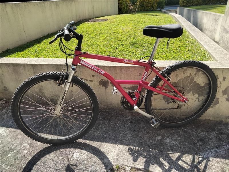 Bicicletas em bom estado – uma de senhora e outra de homem