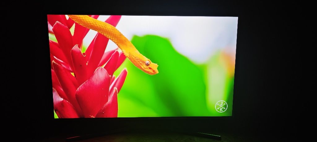 Telewizor LED 49 cali Samsung 4K HDR Smart