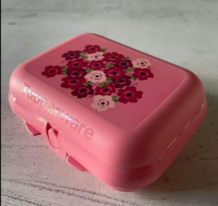 Caixa Ostra Rosas Tupperware