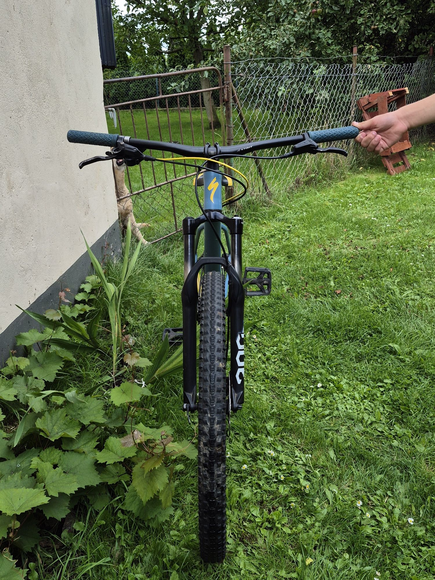 Specialized pitch comp 2x 2019