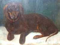 Antiga pintura de um cão Dachshund em óleo sobre tela assinada