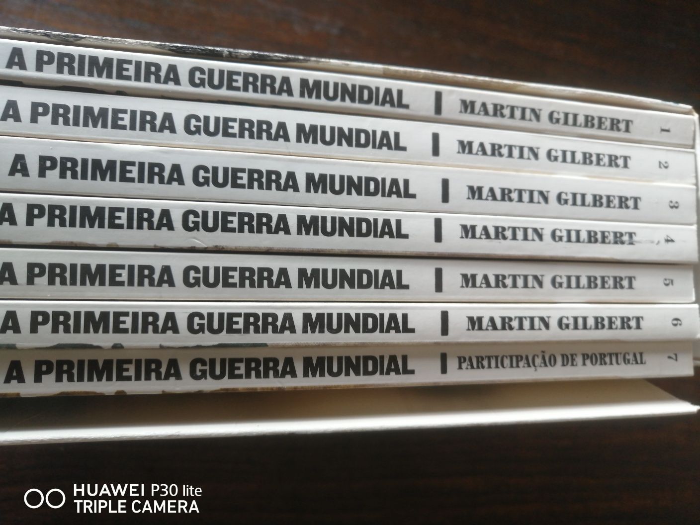 7 livros "Primeira Guerra Mundial"