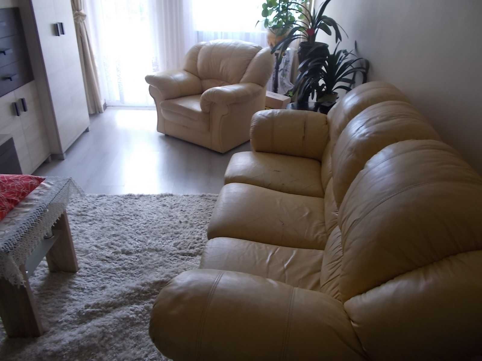 Kanapa + fotel skóra, sofa, zestaw.