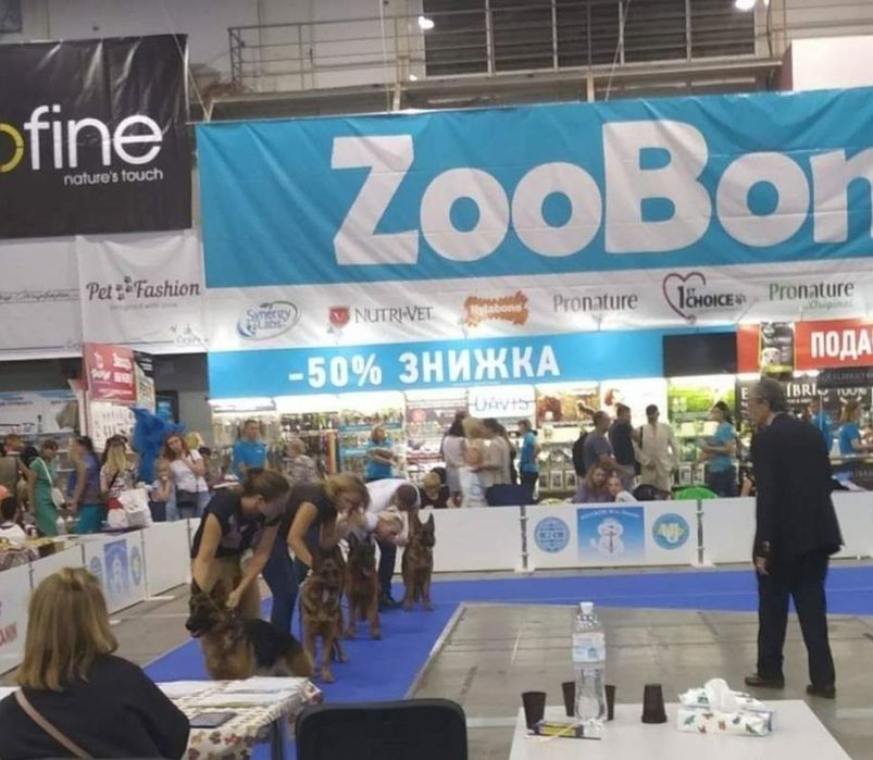 Німецька вівчарка Цуценята