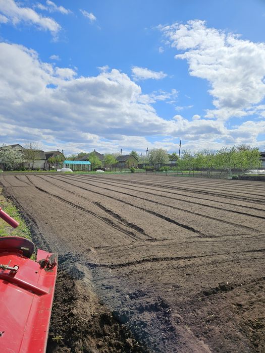 Оранка ( фрезерування) грунту