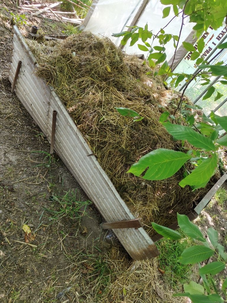 Oddam gnuj spod królików