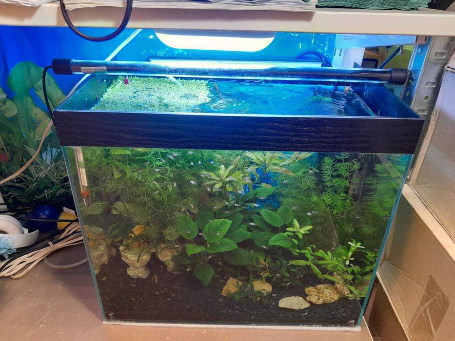 Продам акваріум в зборі Аквакомплект