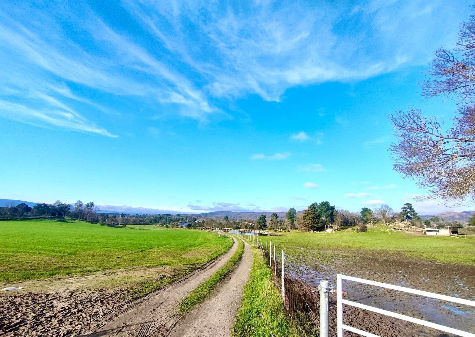 Quinta de 60 ha – Um refúgio natural com potencial ilimitado