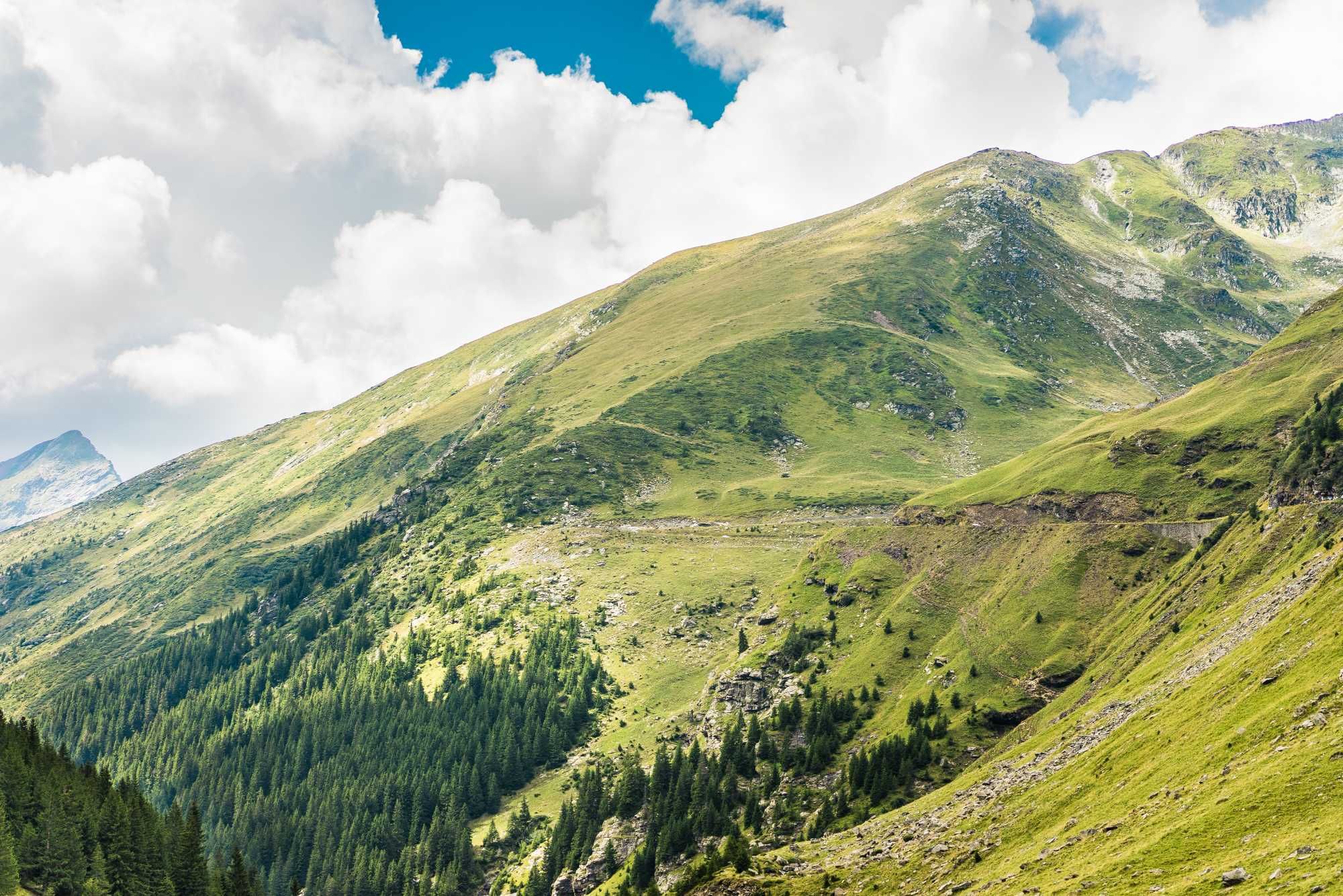 Badanie gruntu pod budowę domu oczyszczalnię geologiczne geotechniczne