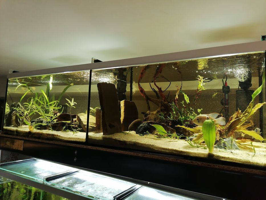 Akwaria 120x50x40 różne