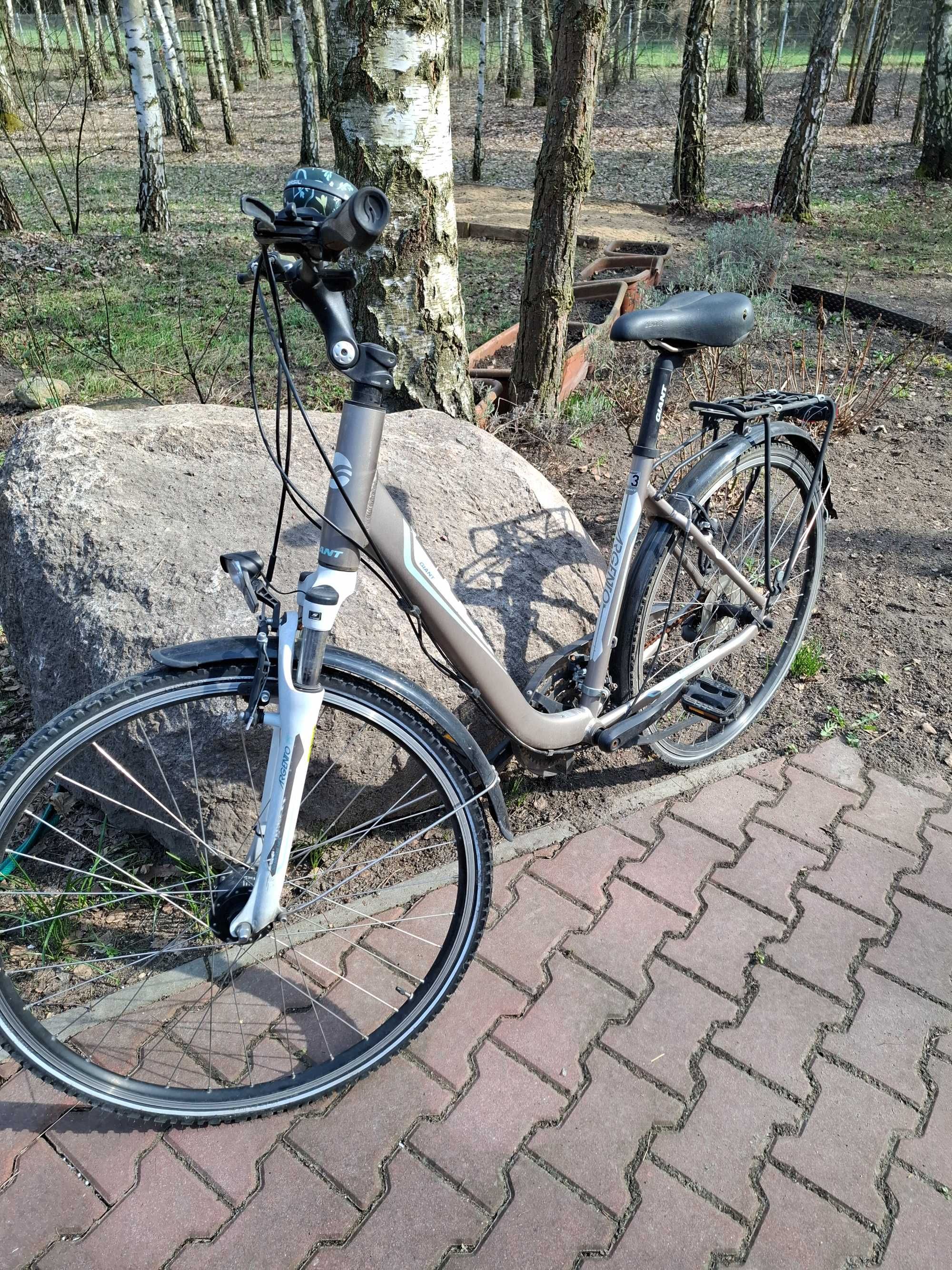 Rower damka Giant Argento