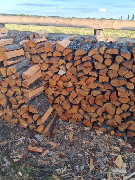 Купить дрова різних порід з швидкою доставкою