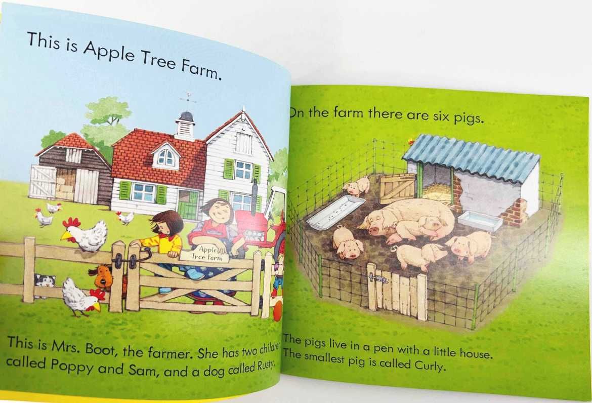 Usborne Farmyard Tales Poppy and Sam Pig Gets Stuck