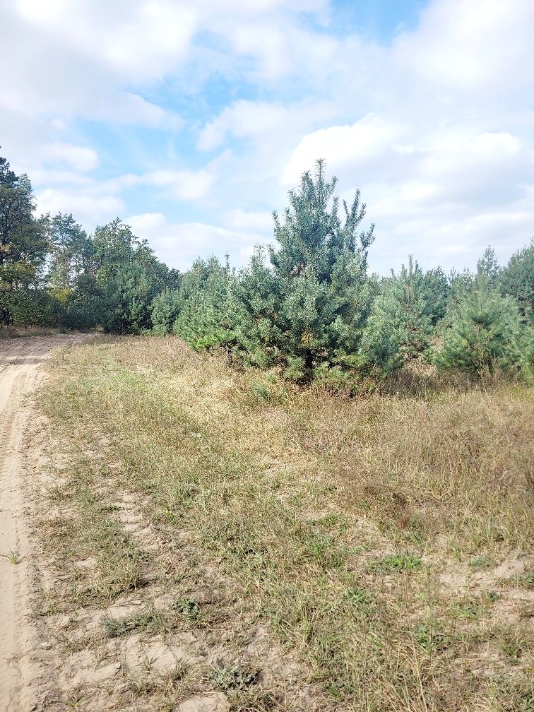 Земельна ділянка, житлова забудова село Пряжів