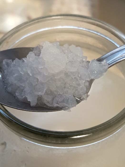 Морській Рис.Квас.