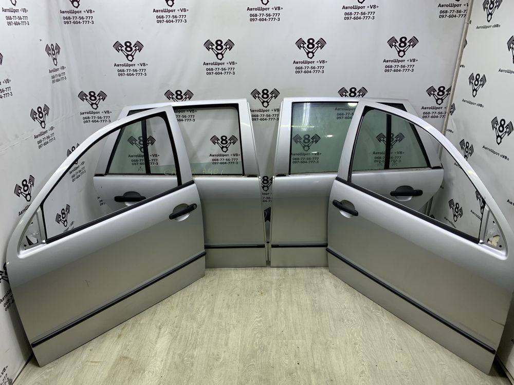 Двері Skoda Fabia 1 1999-2007 дверка передня задня шкода фабія 1