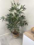 Planta artificial bambu c/ vaso vime