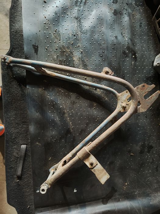 Wachacz tył Komar sztywniak żak Ryś