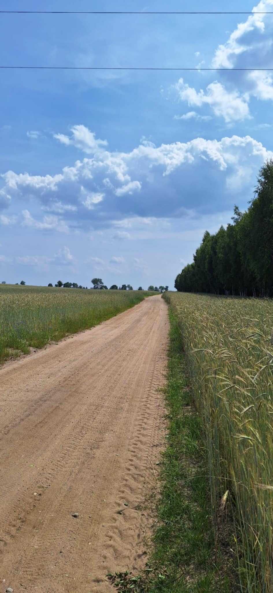 Sprzedam działkę rolną Glinojeck