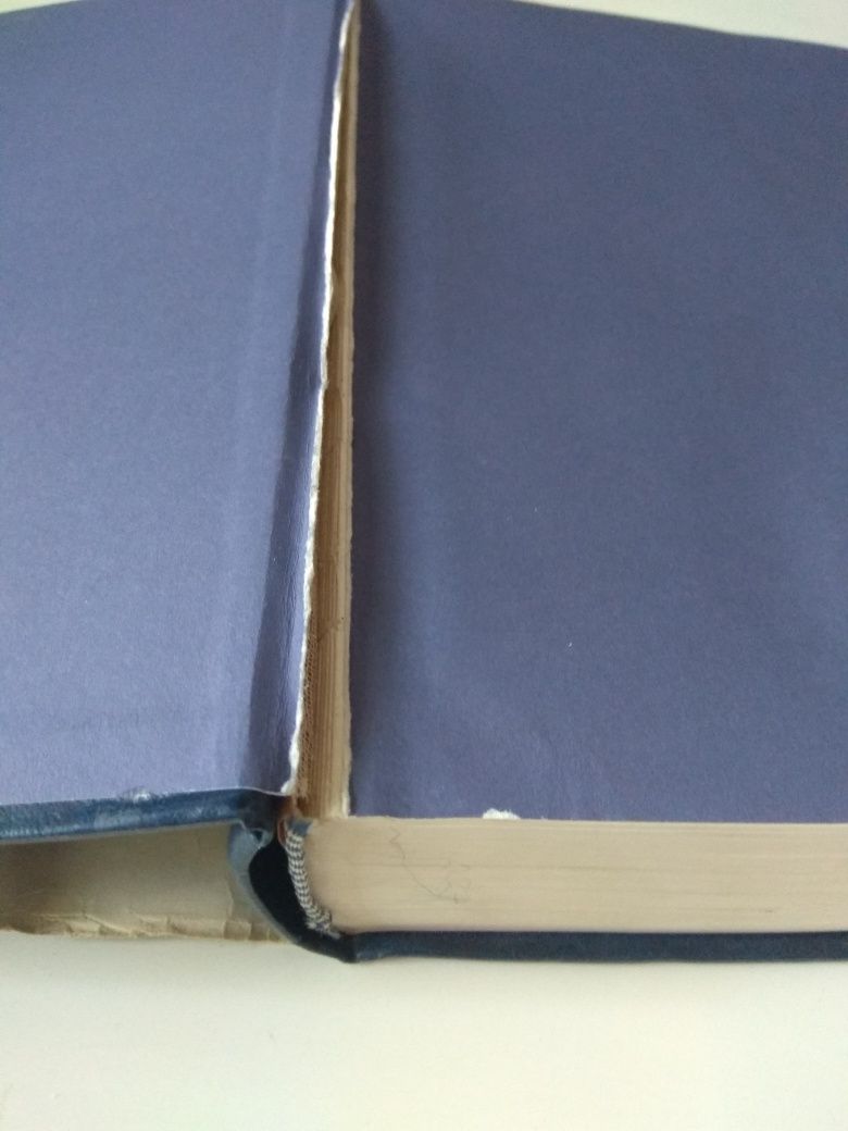 Encyklopedia szkolna Literatura i nauka o języku