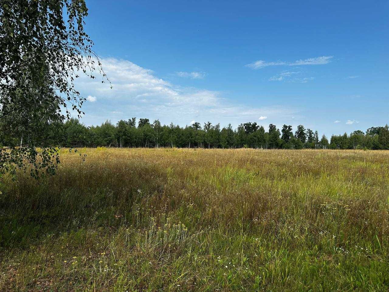 Продаж ділянки 201 сотка (ОСГ). Біля лісу. Озеро - 1км. ID:735