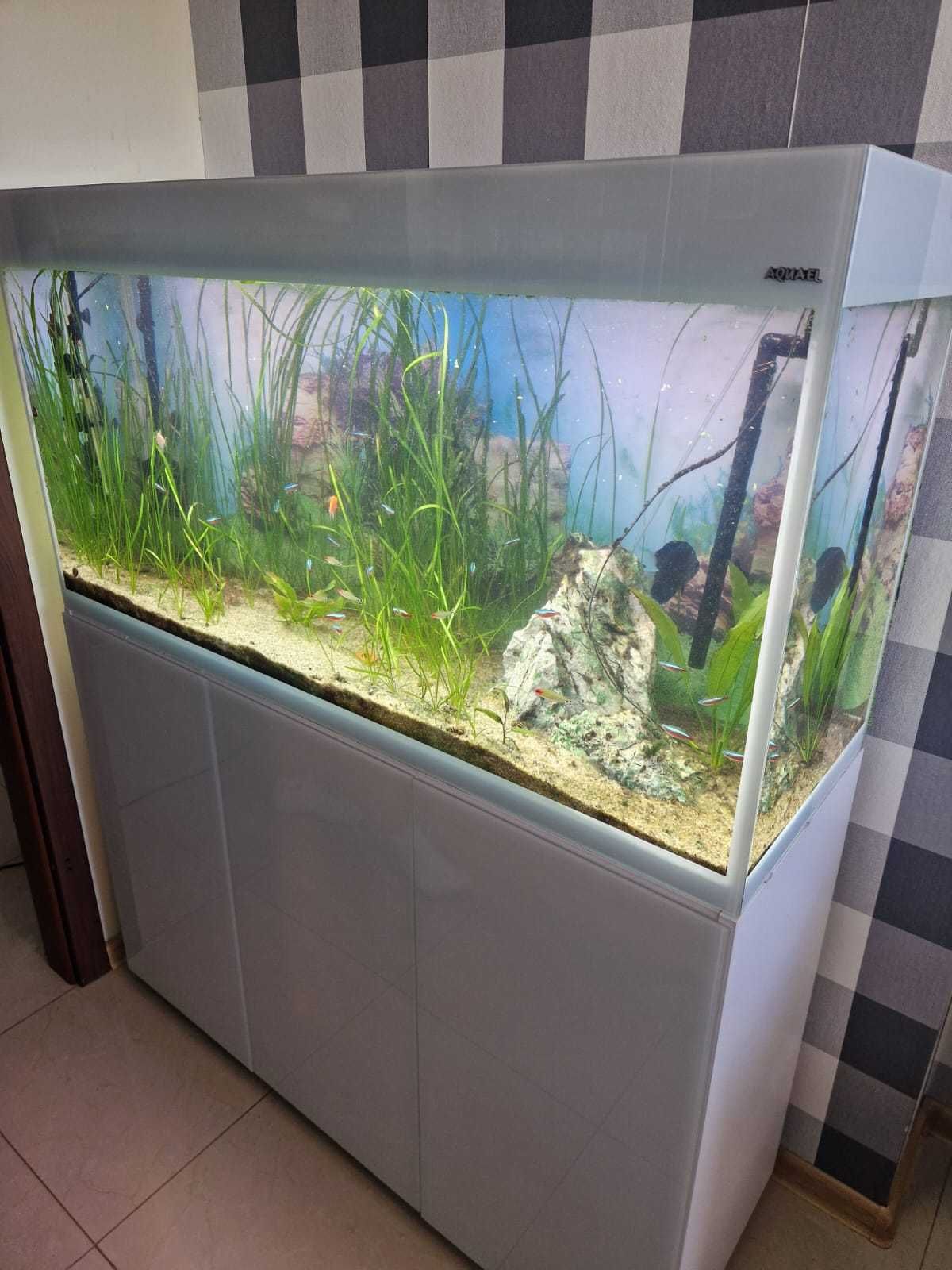 Kompletny Zestaw Akwarium z szafką AQUAEL GLOSSY 120 260L Zestaw biały